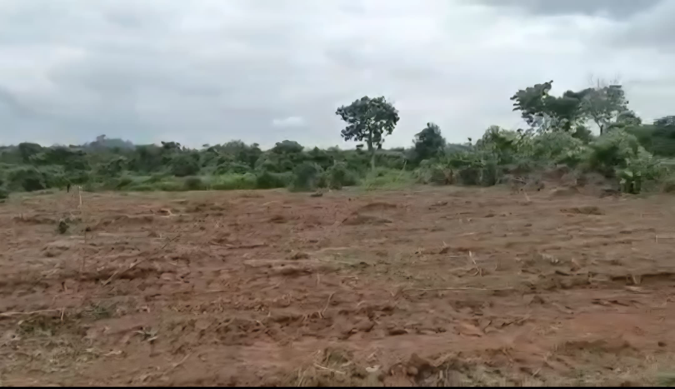 Nuahk Estate, Ogbeke Nike